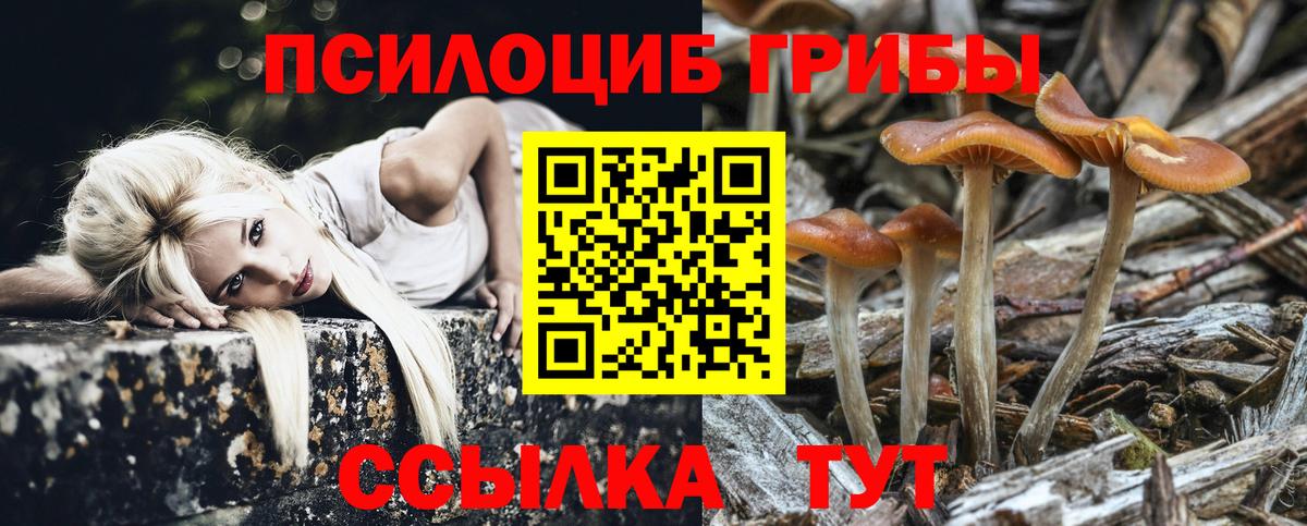 Псилоцибиновые грибы ЛСД Курчатов