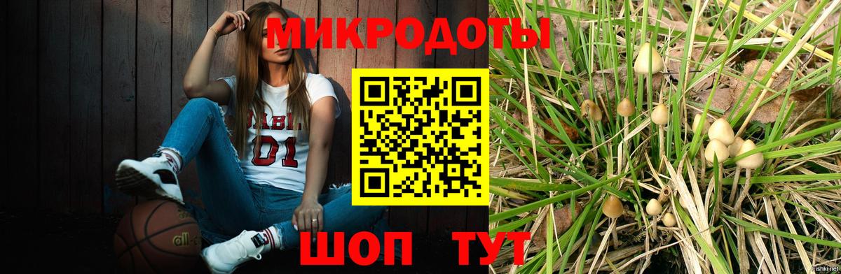 Галлюциногенные грибы прущие грибы  дарнет шоп  Вход с VPN  Курчатов  Галлюциногенные грибы мухоморы 